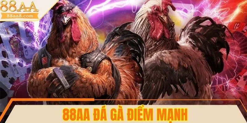 3 điểm mạnh của sảnh đá gà 88AA