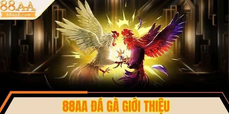 Giới thiệu sảnh 88AA đá gà