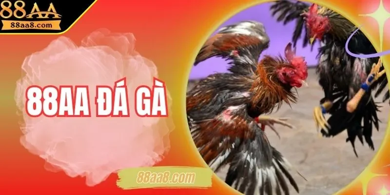88AA Đá Gà | Thế Giới Cược Kê Online Uy Tín Số 1 Châu Á