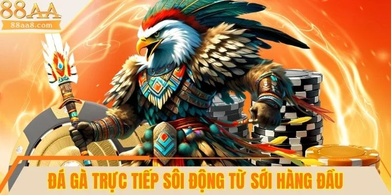 Đá gà trực tiếp sôi động từ sới hàng đầu